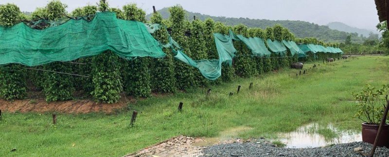 photo_2018-12-03_13-30-36