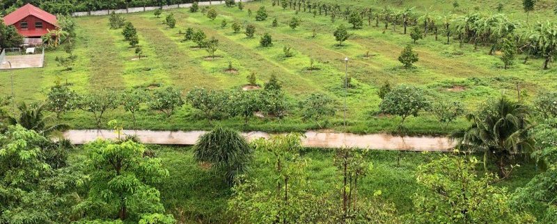 photo_2018-12-03_13-31-00