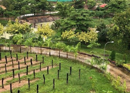 photo_2018-12-03_13-31-04