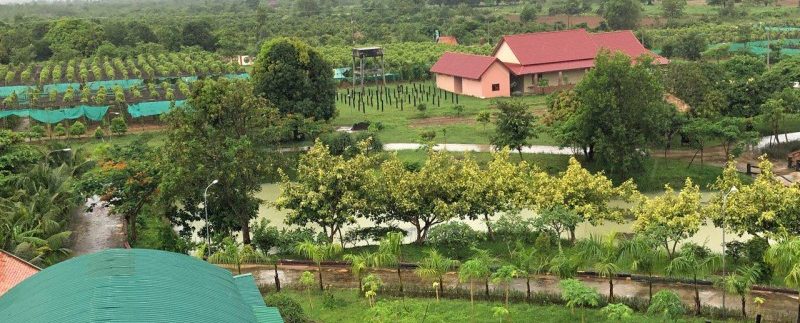 photo_2018-12-03_13-31-09