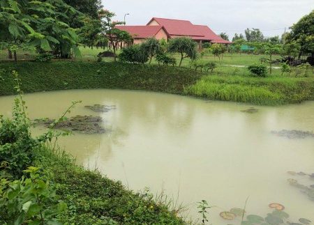 photo_2018-12-03_13-31-16