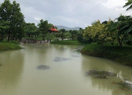 photo_2018-12-03_13-31-17