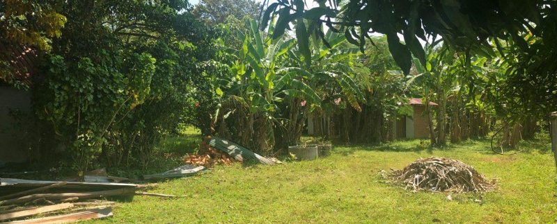 photo_2018-12-03_13-38-36