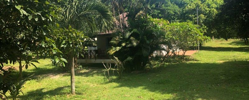 photo_2018-12-03_13-38-38