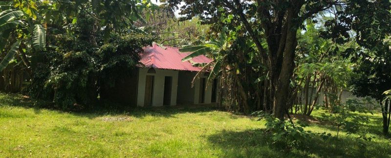 photo_2018-12-03_13-38-59