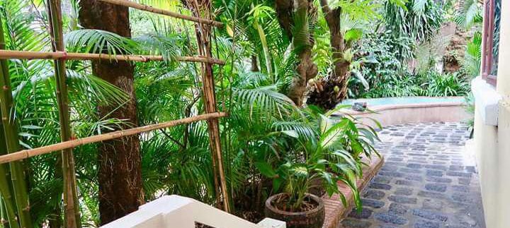 photo_2018-12-28_11-14-01