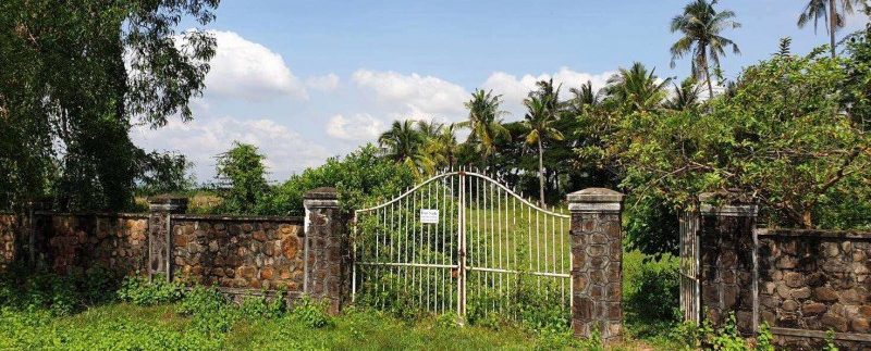 48423062_2012571905487850_7183973474241609728_n