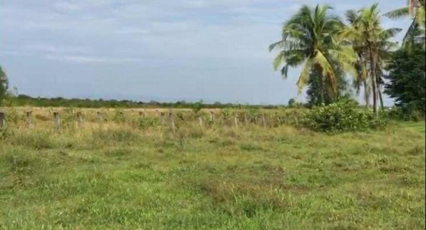 49001758_381477465954386_9031381127503282176_n