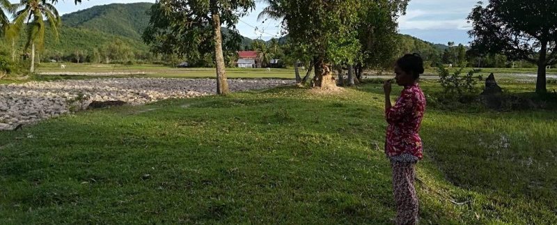 50706009_619172835180747_1689292662802219008_n