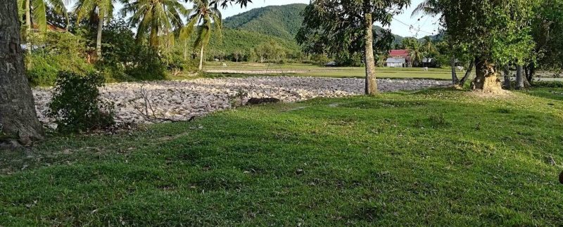 50794607_234675257443631_7988343865788596224_n