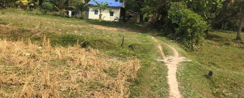 photo_2019-01-30_11-48-35