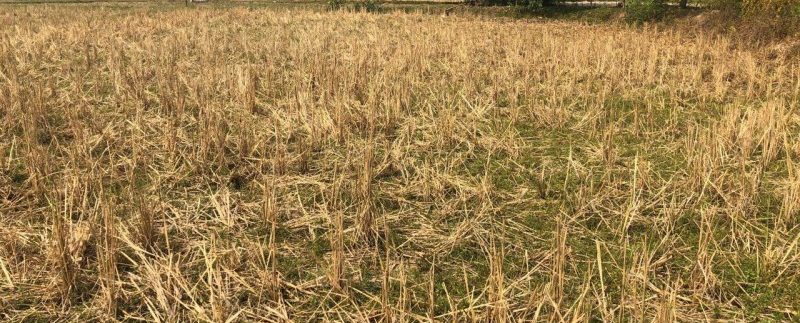 photo_2019-01-30_11-48-38