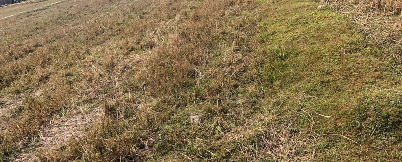 photo_2019-01-30_11-48-42