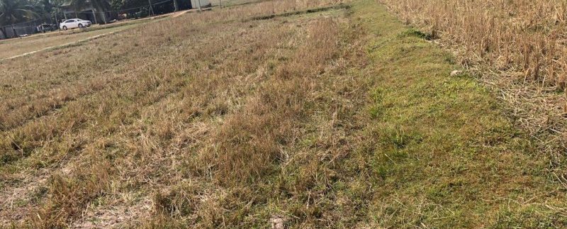 photo_2019-01-30_11-48-43