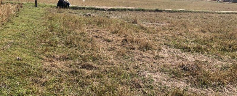 photo_2019-01-30_11-48-44