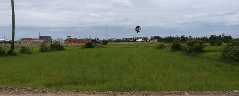 40621962_2158932674365568_368832021646016512_n