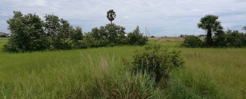 40664002_327863754441864_7440488179792084992_n