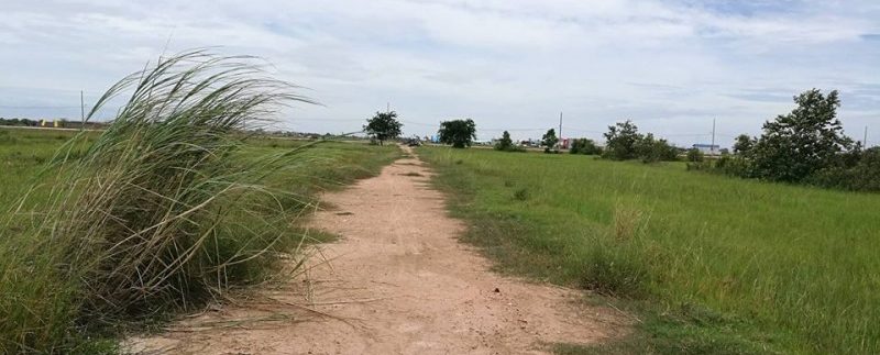 40678771_252037878841753_519697888993869824_n