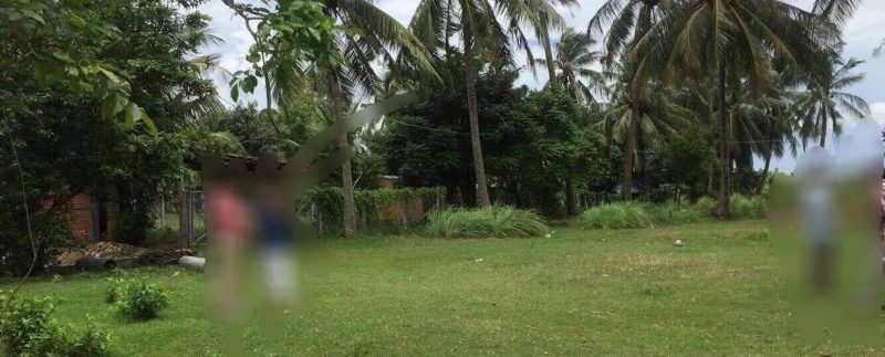 52303898_302509356997703_1571258212659757056_n