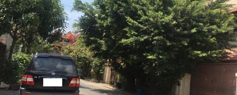 52602343_622292541533105_7430224384775684096_n