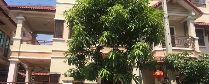 52819596_383836679064460_3565462367720439808_n