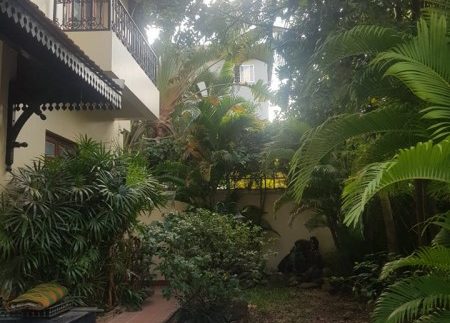 52926889_609222619539578_7094472407401889792_n