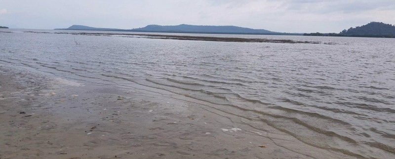 photo_2019-02-01_12-22-57