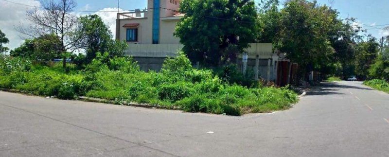 photo_2019-02-13_11-00-33