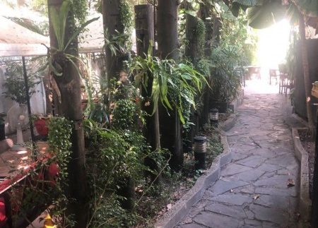 photo_2019-02-15_16-21-16 (2)