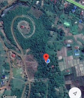 photo_2019-02-15_16-49-31