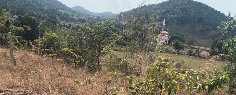 photo_2019-02-15_16-49-33