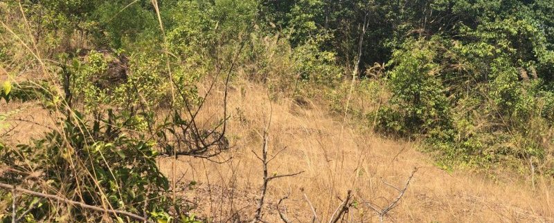 photo_2019-02-15_16-49-37