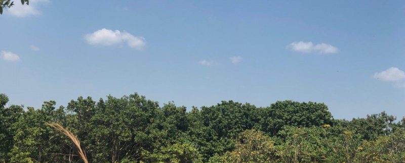 photo_2019-02-15_16-49-38