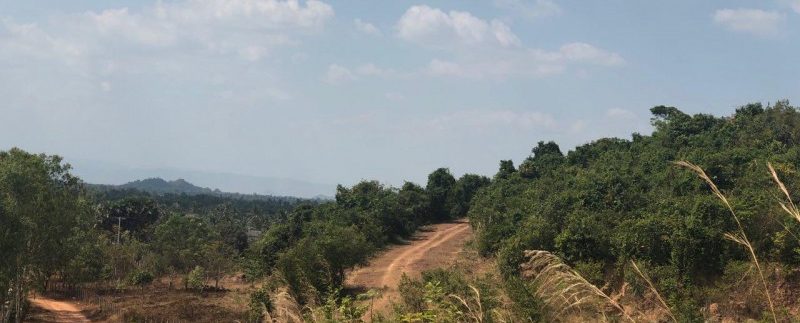 photo_2019-02-15_16-49-39