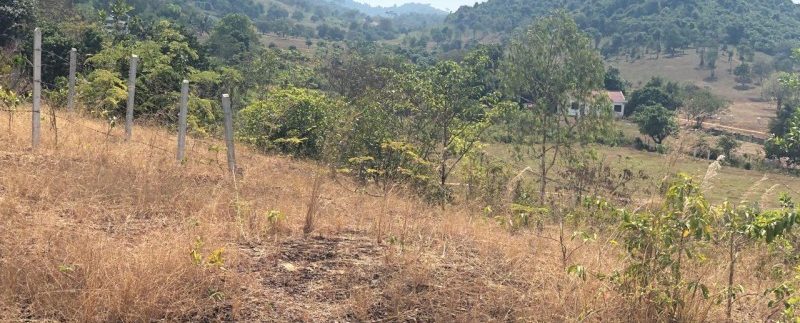 photo_2019-02-15_16-49-40