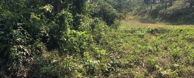 photo_2019-02-16_10-44-31