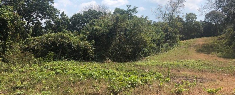 photo_2019-02-16_10-44-32