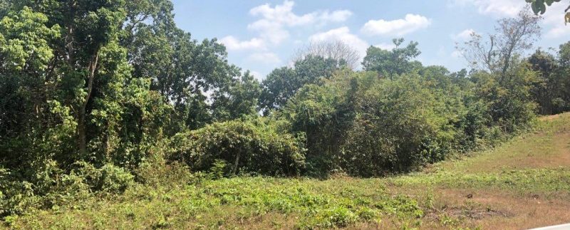 photo_2019-02-16_10-44-34