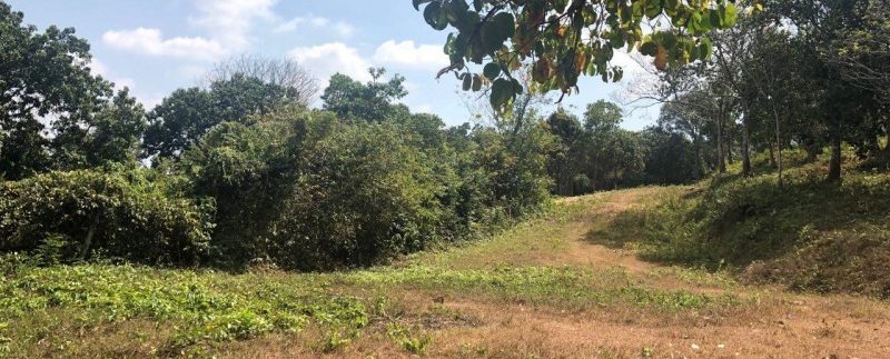 photo_2019-02-16_10-44-35