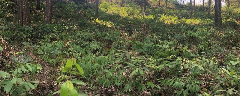 photo_2019-02-16_10-44-40