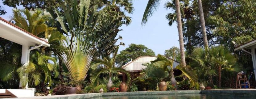 53591673_2244072348987366_3282370499031597056_n