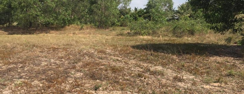 54142944_340495303248915_3208656379057274880_n