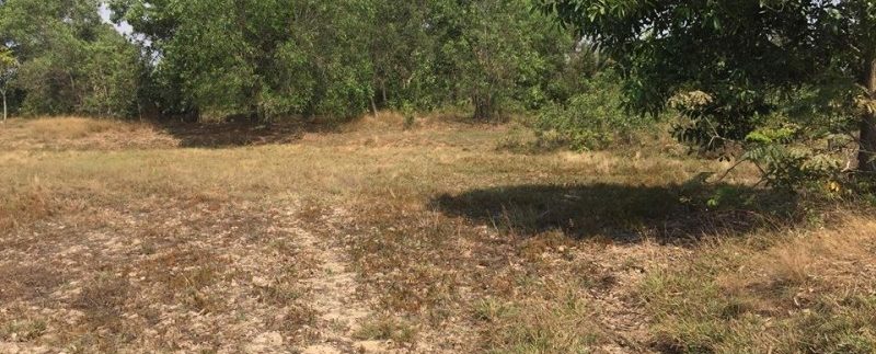 54520951_335422577101427_5007581878840983552_n