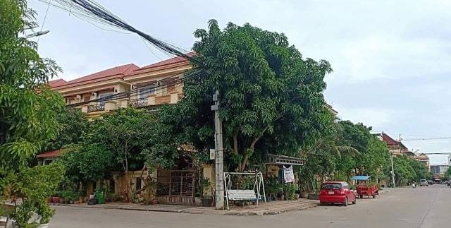 54524681_640657753061401_5293563672109514752_n