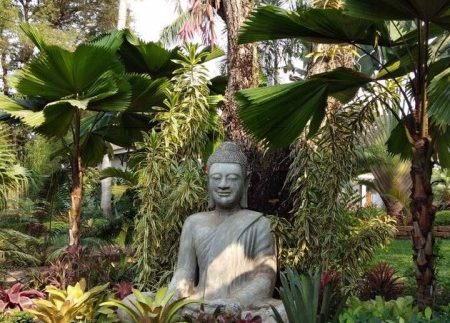 55244483_2244071962320738_2693124402182094848_n