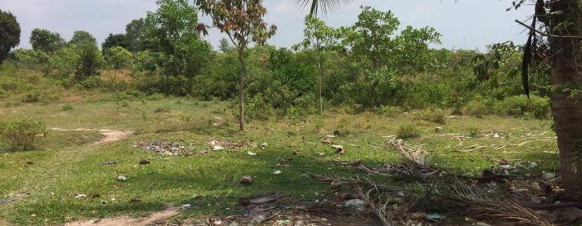 55589306_2180014662087089_5647137977055313920_n