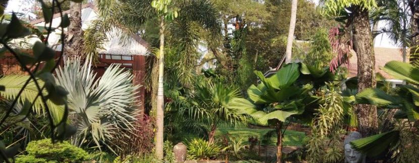 55595616_2244071995654068_5158179525481201664_n