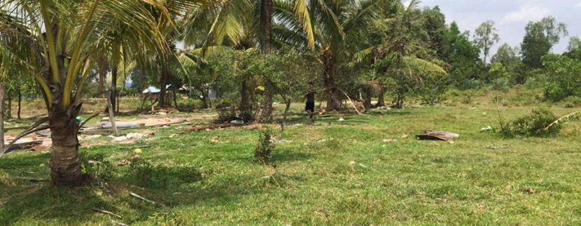 55615824_2519669354709865_7480816990693621760_n