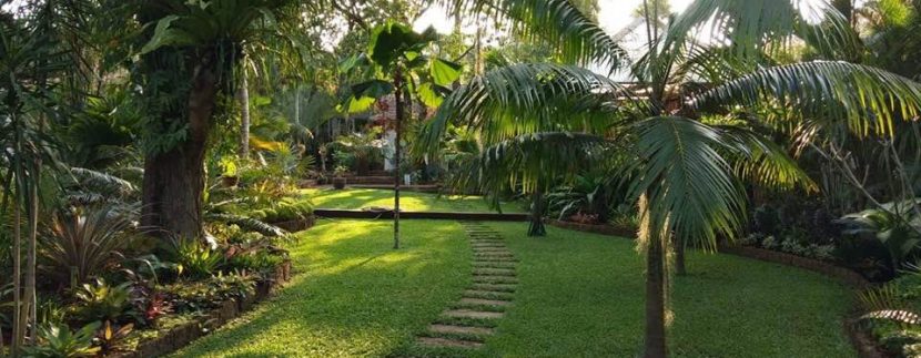 55726379_2244071935654074_5671487585470382080_n