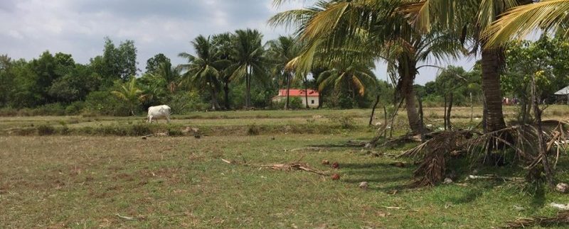 55865070_653874008396616_8107324299657871360_n